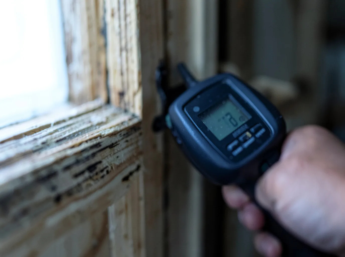 Moisture Inspection And Documentation in Lovelaceville, KY